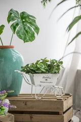 Trolley Planter - 290 X 100 X 180