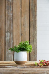 Flower Ceramic Vase - 165 X 165 X 155