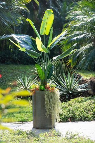 Planter - Rustic Olive - 470 X 470 X 750