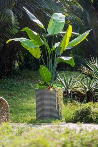 Planter - Rustic Olive - 470 X 470 X 550