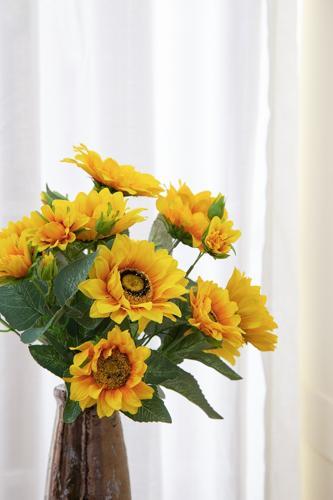 Yellow Sunflower Stems 9 Heads
