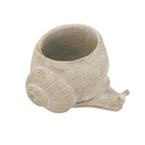 Snail Planter - 245 X 210 X 150