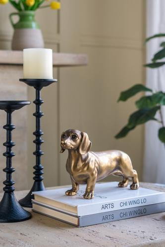 Gold Dog