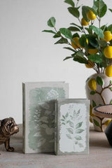 Green Leaf Book Box Set of 2 - 180 X 70 X 270 - SE2961