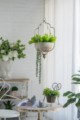Hanging Metal Planter - 300 X 250 X 550