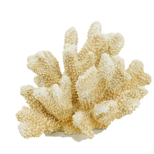 Faux Coral - Natural