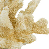 Faux Coral - Natural