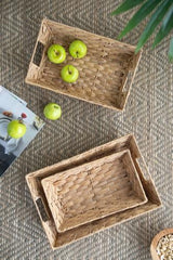 Water Hyacinth Tray Set of 3 - 420 X 280 X 100