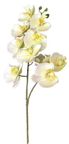 Real Touch Orchid 1 Spray Stem - Light Green