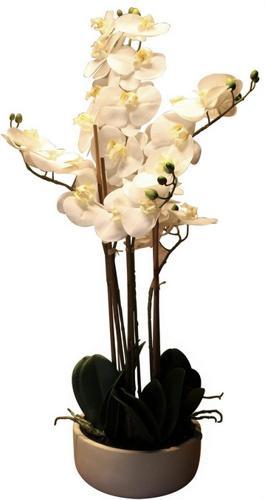 Real Touch Orchid 6 Spray - White with Caesarstone Pot