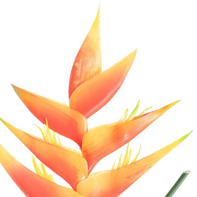 Artificial / Faux Flower  - Heliconia Flower Stem Orange
