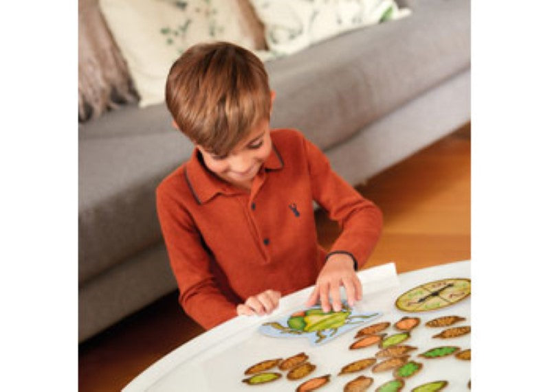 Orchard Game - Bug Hunters