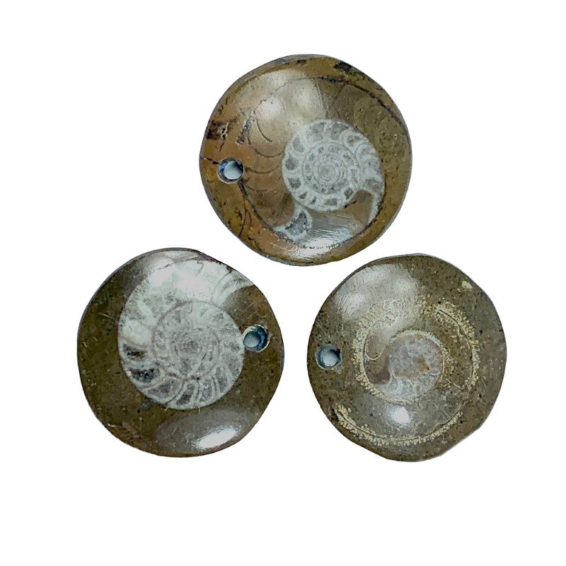 Set - Set of 2 Small Ammonite Fossil Pendant Brown 2-3 cm