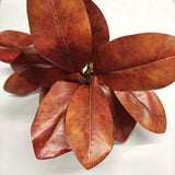Artificial Magnolia Leaf Spray - X 2 (Large)