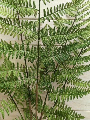 Artificial Boston Fern Bush - Large X 5 (100cm)