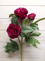 Artificial Peony Spray X 2 - Large (Beauty)