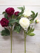 Artificial Peony Spray X 2 - Large (Beauty)