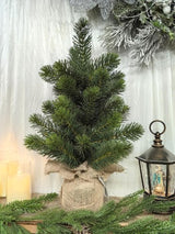 Artificial 24" Green Spruce Pine Tree 56cm