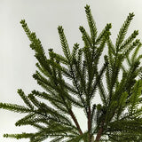 Real Touch Norfork Pine Spray Bundle X 4 (18.5")