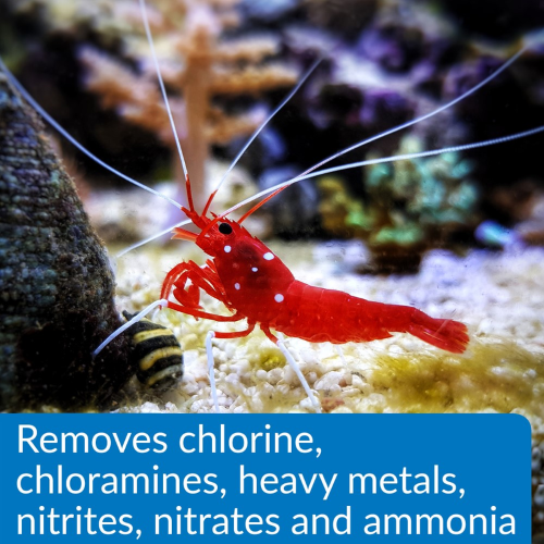 Aquarium Water Conditioner- API Aqua Essential 1.89L