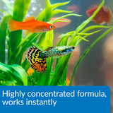 Aquarium Water Conditioner- API Aqua Essential 1.89L