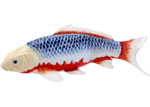Mojo - Koi Carp - Asagi Koi (blue red) 2025