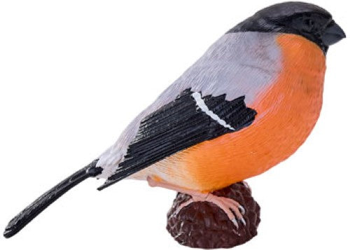 Mojo - Bullfinch 2025