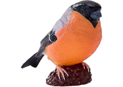 Mojo - Bullfinch 2025