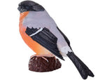 Mojo - Bullfinch 2025