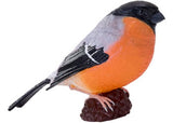 Mojo - Bullfinch 2025