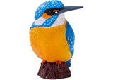 Mojo - Kingfisher 2025