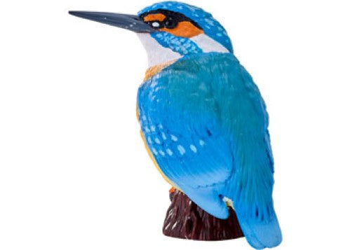 Mojo - Kingfisher 2025