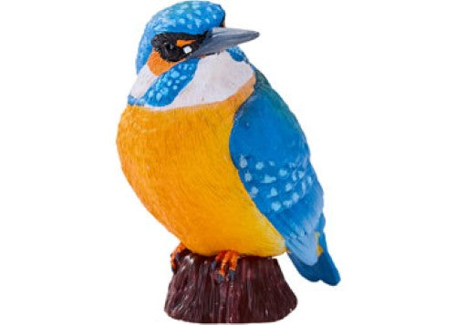 Mojo - Kingfisher 2025