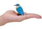Mojo - Kingfisher 2025