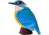 Mojo - Kingfisher 2025
