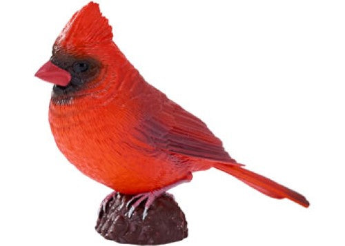 Mojo - Red Cardinal 2025