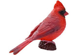 Mojo - Red Cardinal 2025