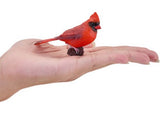 Mojo - Red Cardinal 2025