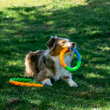 Dog Toy - KONG AirDog Squeaker Balls XS (3pk)
