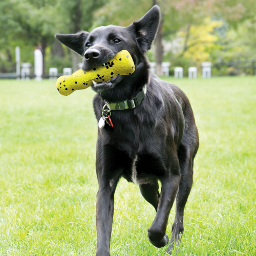 Dog Toy - KONG Reflex Stick (Medium)