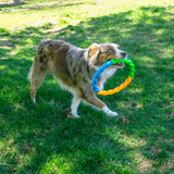 Dog Toy - KONG Twistz High-Viz Ring (Large)