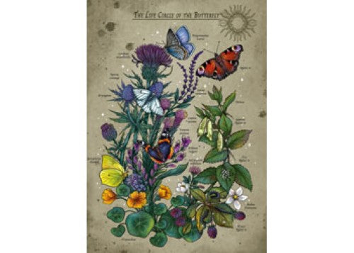 Ravensburger Lifecircle Butterfly Puzzle 1000 Pieces