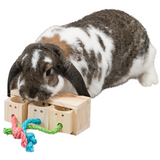 Small Animal Toy - Wooden Snack Activity Cube (5 x 5 x 6cm)