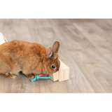 Small Animal Toy - Wooden Snack Activity Cube (5 x 5 x 6cm)