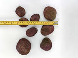 Brown Rocks (Bag of 8pcs)