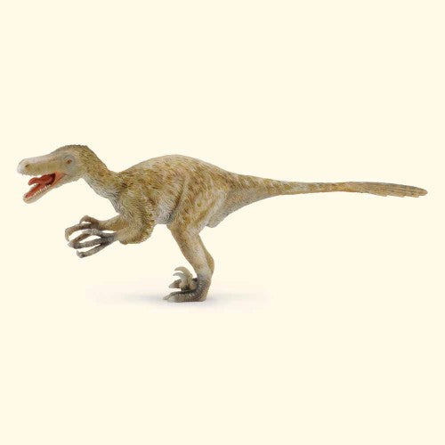 Velociraptor Deluxe 1:6 Scale   Figurine DLX - CollectA