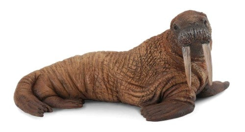 Walrus  Figurine Large - CollectA