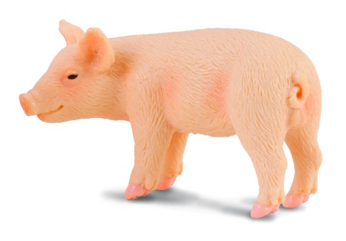 Piglet Standing  Figurine - Small  - Collecta