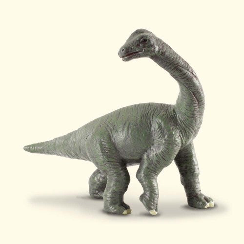 Brachiosaurus Baby  Figurine - Small