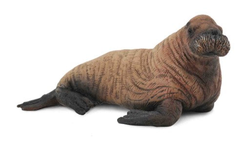 Walrus Calf  Figurine - Medium  - Collecta